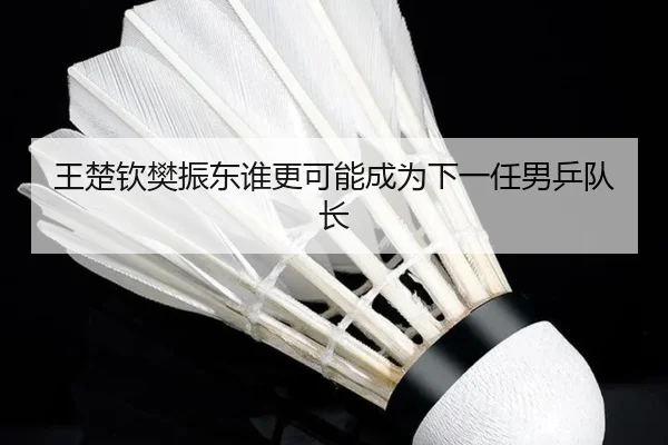 王楚钦樊振东谁更可能成为下一任男乒队长